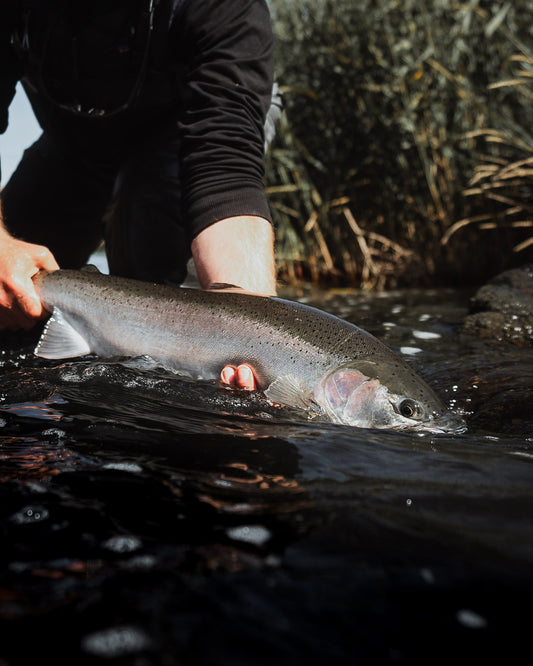 Setup for Steelhead in Deschutes river